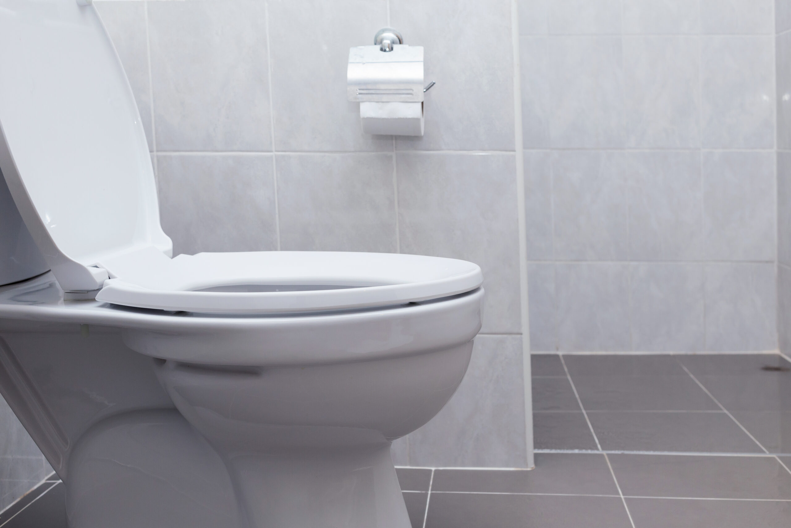 Toilet Repairs Bredahl Plumbing Twin Cities Plumbers