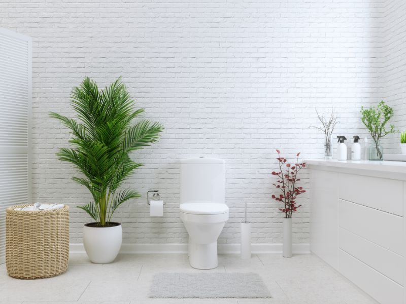 Unclog a Toilet | Twin Cities Plumbers | Bredahl Plumbing Inc.